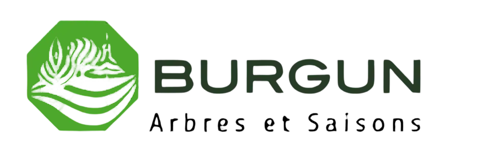Burgun Entreprise
